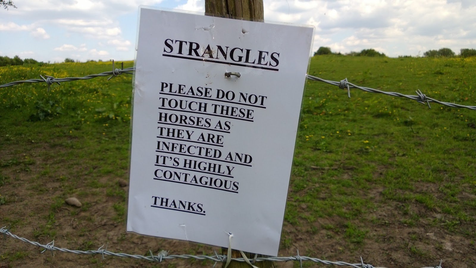 Sign warning about strangles