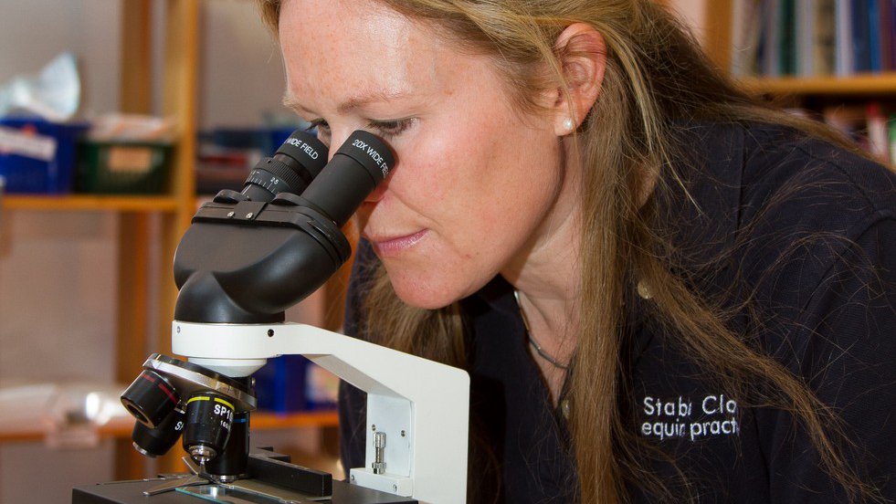Lucy Stamp examining semen under a microscope