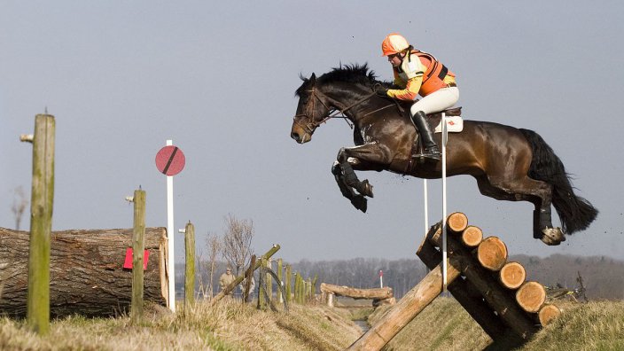 Horse jumping cross country, Photographer: Pieter Geerts