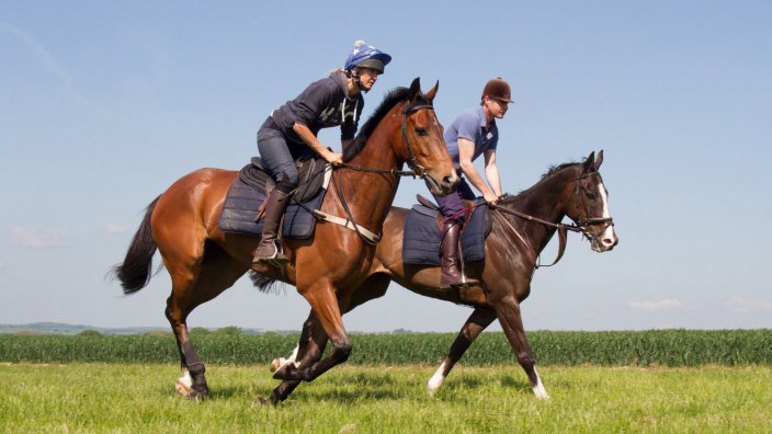 Two racehorses on the gallop
