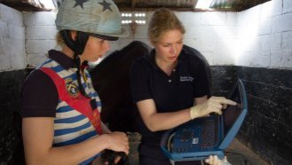 Looking at a tendon scan of a horse's leg