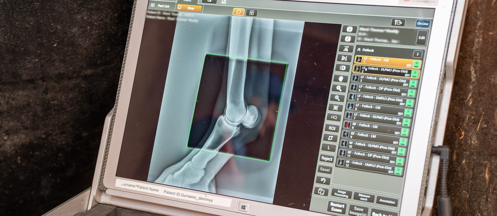 X-ray of horse's fetlock