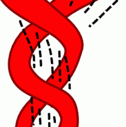Diagram showing twisted intestine