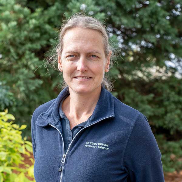 Kirsty Barnard - Stable Close (Web)