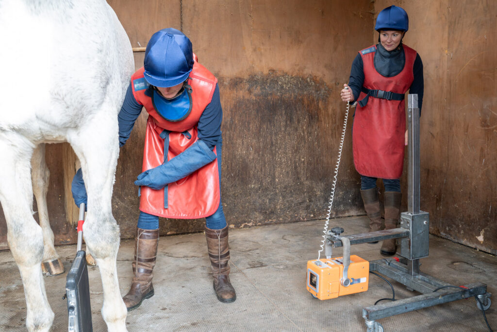 Stable Close (Web) 129