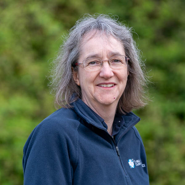 Jo Hopwood - Stable Close Equine Veterinary Practice (Web) 2026-04