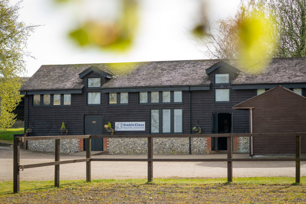 Stable Close Equine Veterinary Practice (Web) 2026-04 004