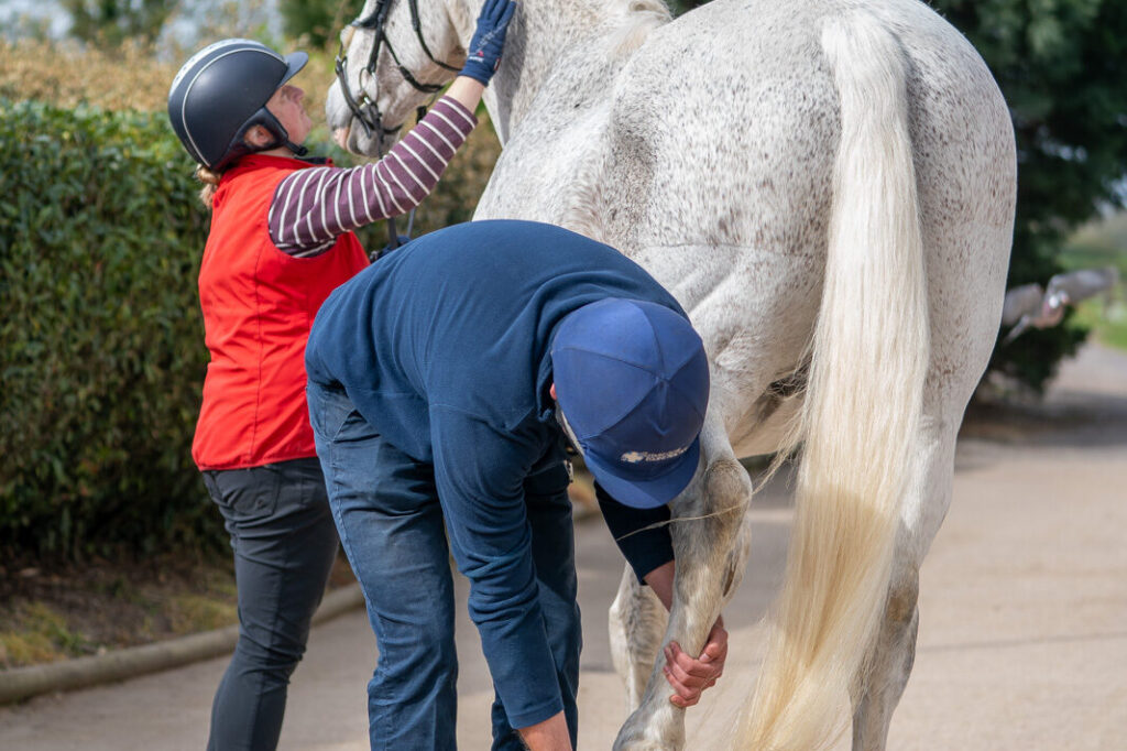 Stable Close Equine Veterinary Practice (Web) 2026-04 018