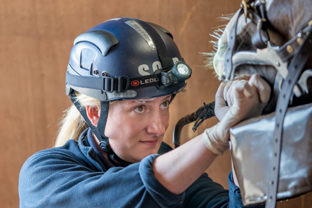 Stable Close Equine Veterinary Practice (Web) 2026-04 036