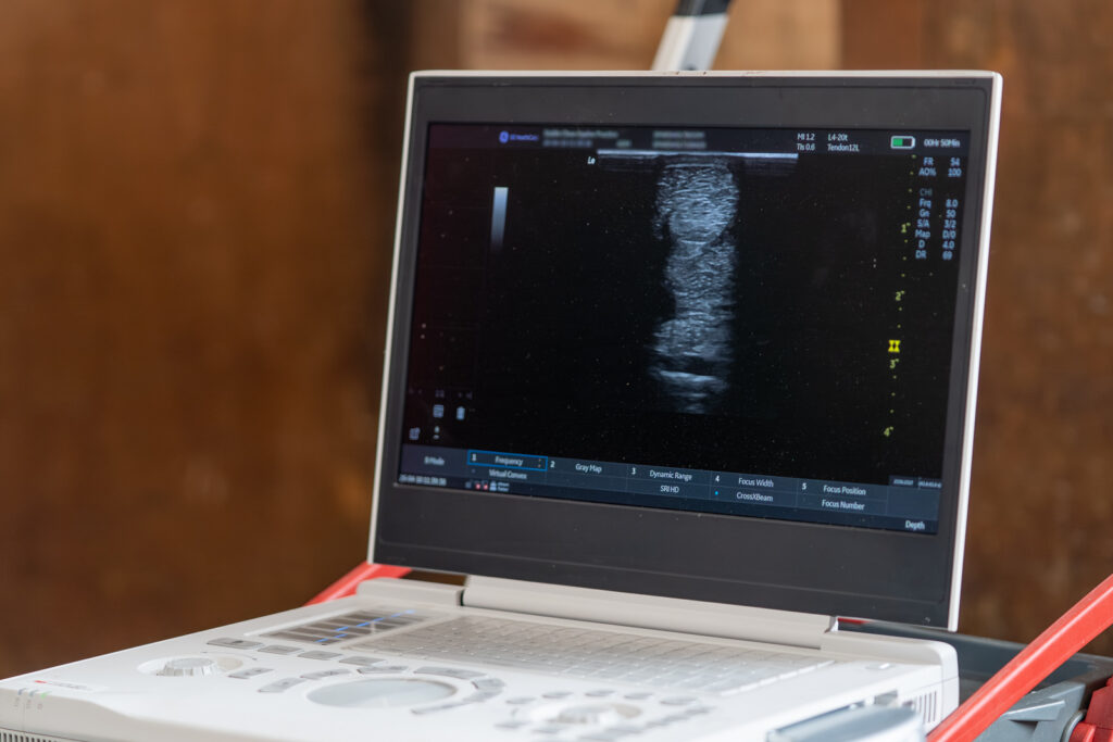 Stable Close Equine Veterinary Practice (Web) 2026-04 037