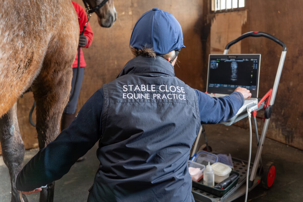 Stable Close Equine Veterinary Practice (Web) 2026-04 038