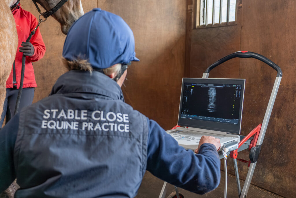 Stable Close Equine Veterinary Practice (Web) 2026-04 039
