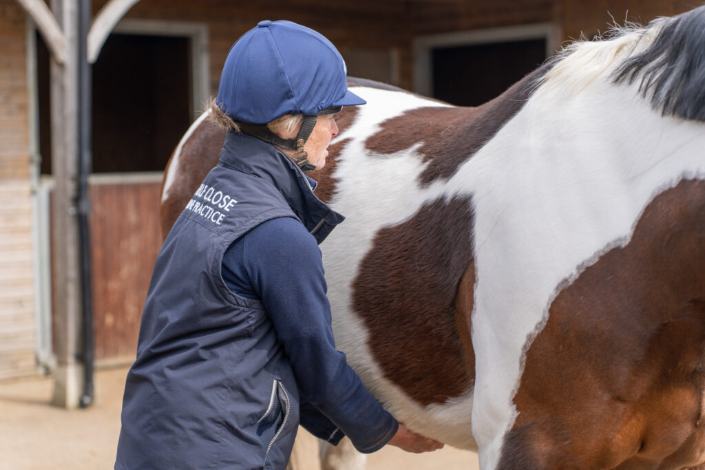 Stable Close Equine Veterinary Practice (Web) 2026-04 046