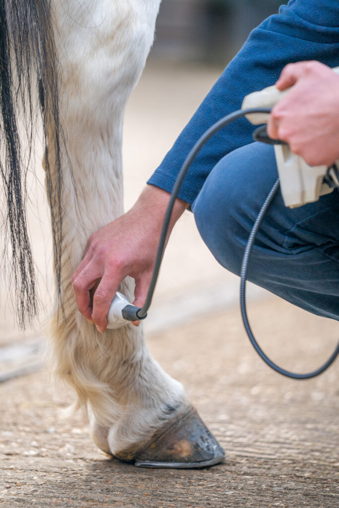 Stable Close Equine Veterinary Practice (Web) 2026-04 055