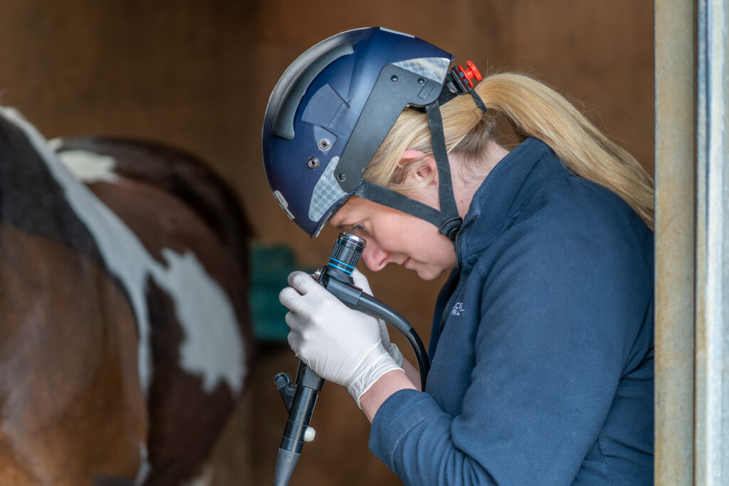 Stable Close Equine Veterinary Practice (Web) 2026-04 060